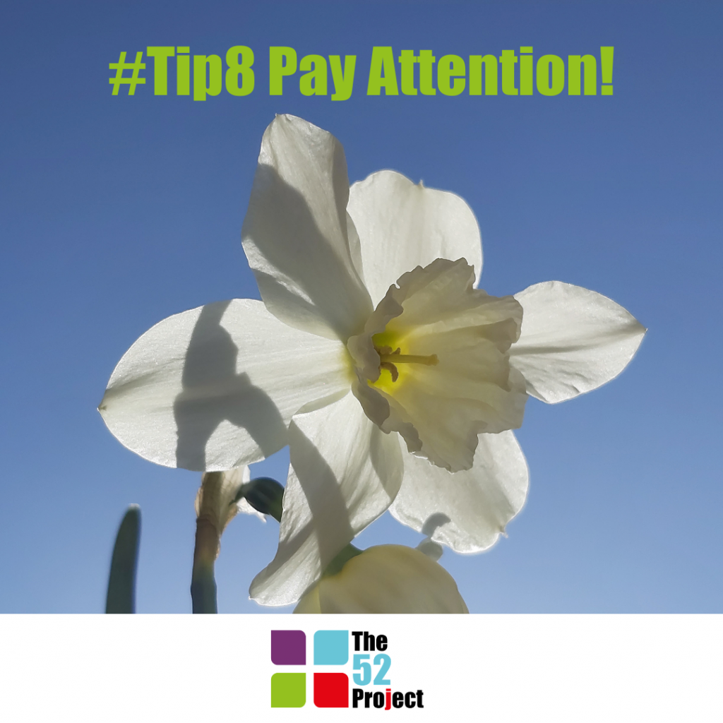 tip8, pay attention, non dominant hand, look closely, the 52 project, think it out, its not bloody rocket science, habit stacking, moodboosting