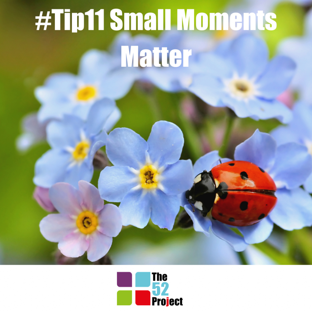 small moments matter, nature, wellbeing, mood, the 52 project, 52 tips, community wellbeing project, iain price, dulcie swanston