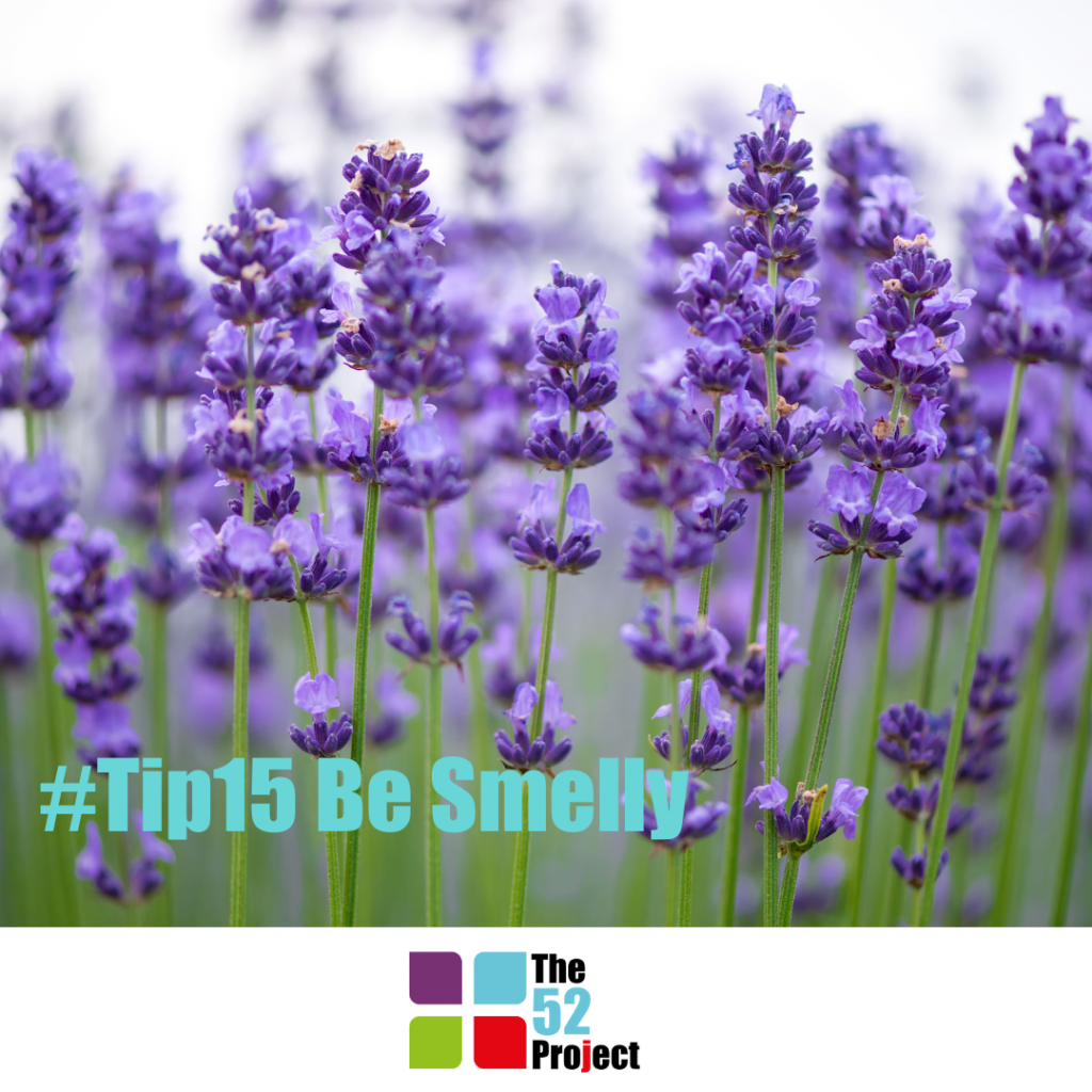 be smelly, fragrance, smell, aroma, wellbeing, sleep, lavender, the 52 project, 52 tips, neuroscience, community wellbeing project